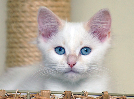 Odysseus am 19. April 2019